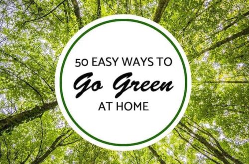 50 Simple Ways to Live a More Eco-Friendly Sustainable Lifestyle