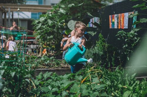Go Green: 10 Tips for a More Sustainable Lifestyle