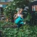 Go Green: 10 Tips for a More Sustainable Lifestyle