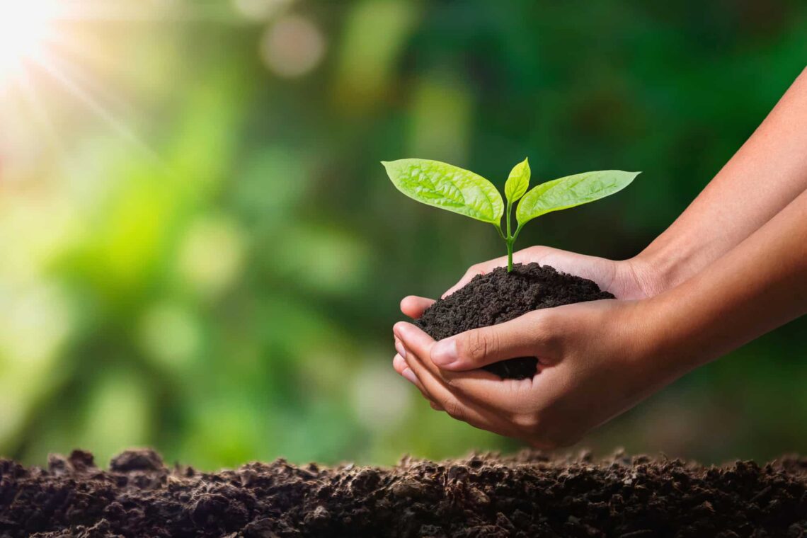 What Is Sustainable Living and How to Lead It: A Comprehensive Guide