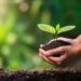 What Is Sustainable Living and How to Lead It: A Comprehensive Guide