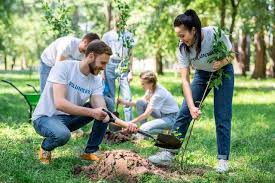 What is Sustainable Living and Why is it Important?